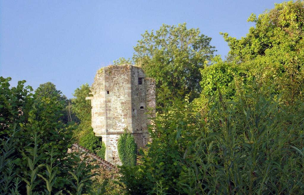 Bed and Breakfast Chateau De La Chasse-Guerre Hardanges Exterior foto